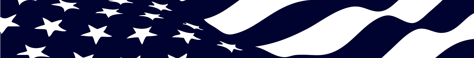 flag banner