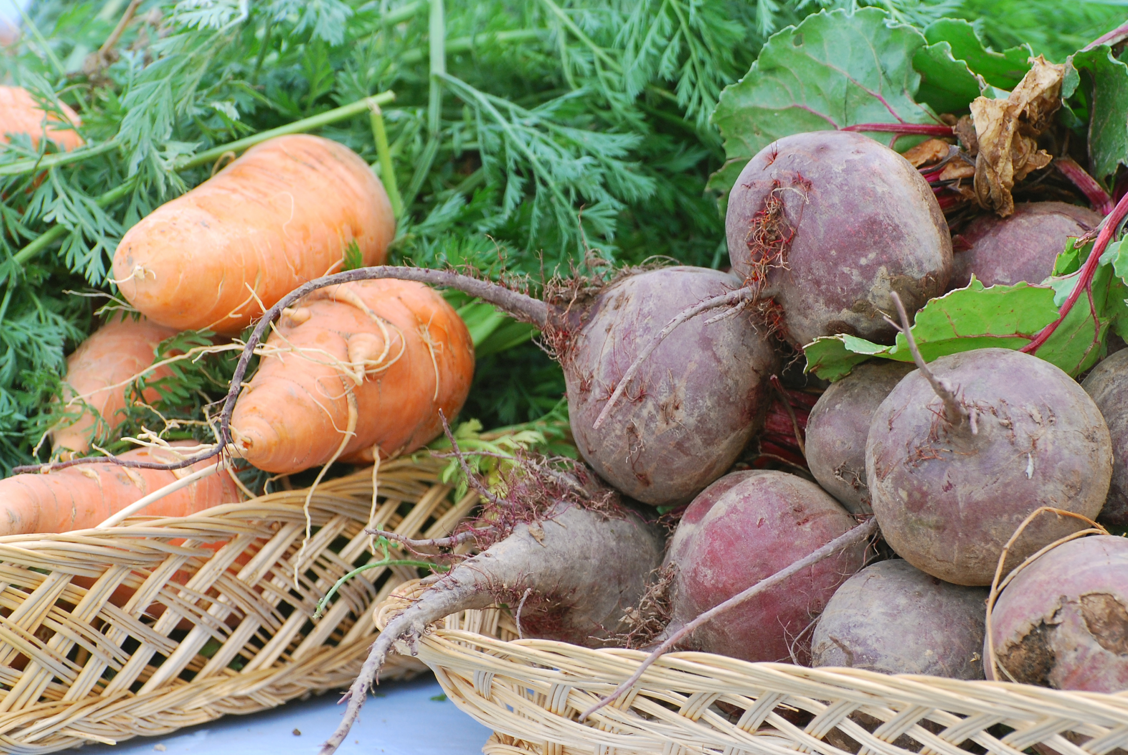 carrots and beets in baskets