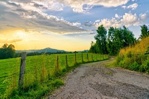 Access Permit Application