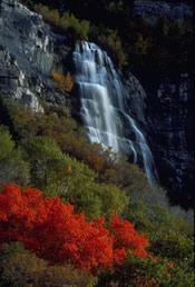 Bridal Veil Falls, Utah County Bridal Veil Falls, Utah County - Photograph by Steve Greenwood
