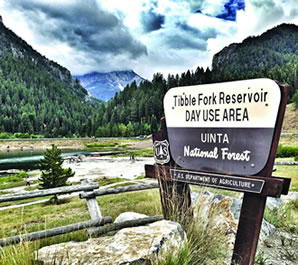 Tibble Fork Reservoir